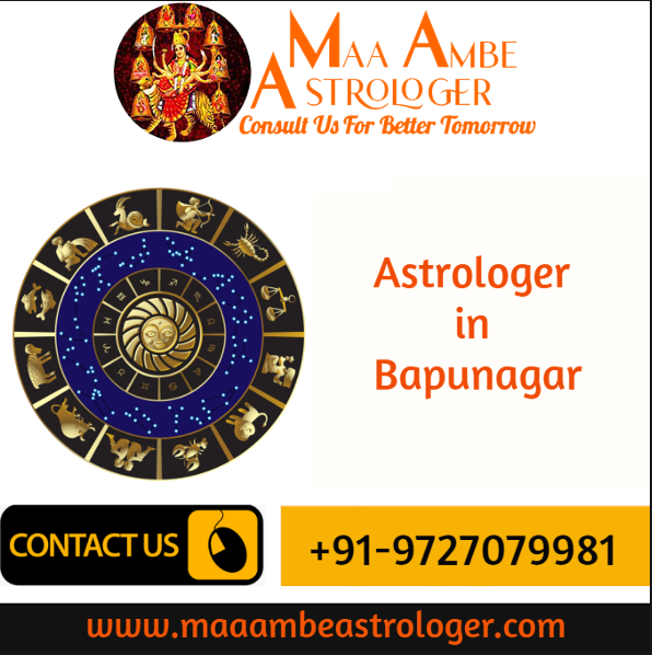 Astrologer in Bapunagar
