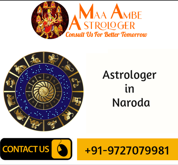 Astrologer in Naroda